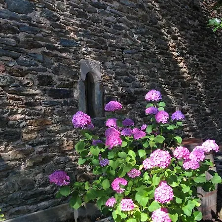 La Conquise Accommodatie bij particulieren Conques-en-Rouergue